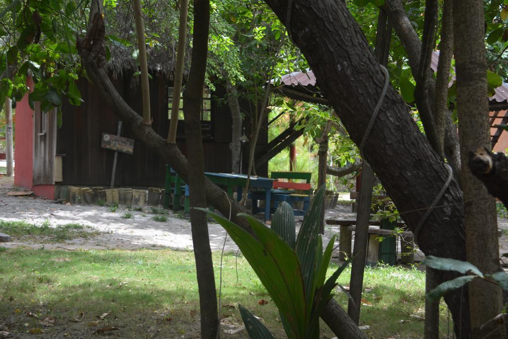 Imbassai Pousada Hostel Lujimba エクステリア 写真