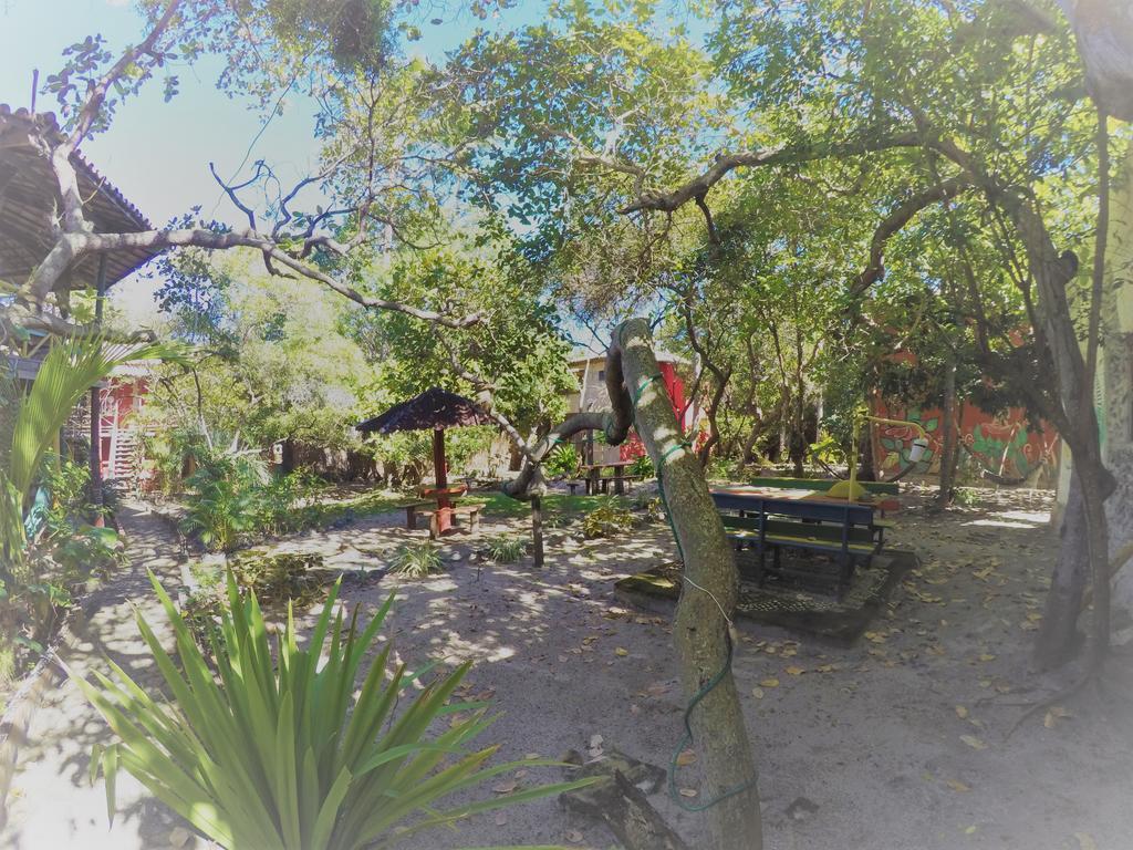 Imbassai Pousada Hostel Lujimba エクステリア 写真
